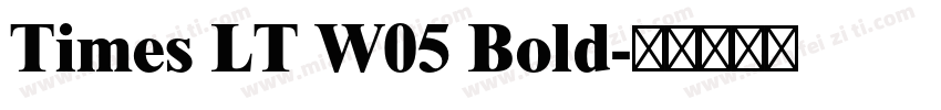 Times LT W05 Bold字体转换